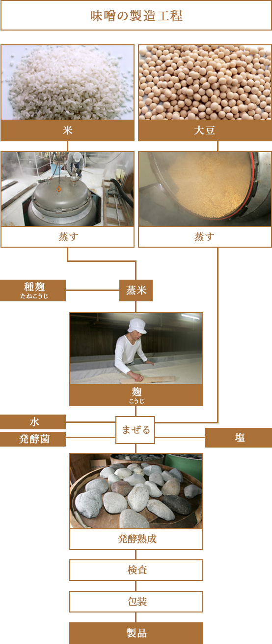 味噌の製造工程
